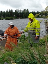 Kaarteet tositoimissa